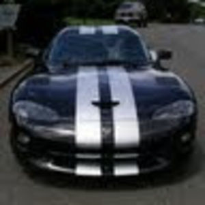 Meet your Posher, Mikey